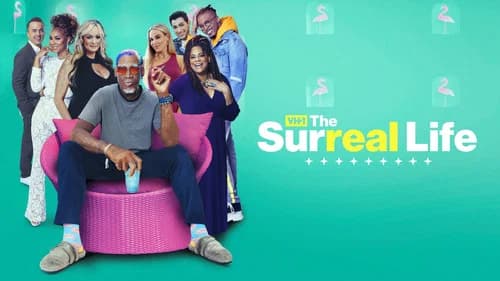 The Surreal Life still