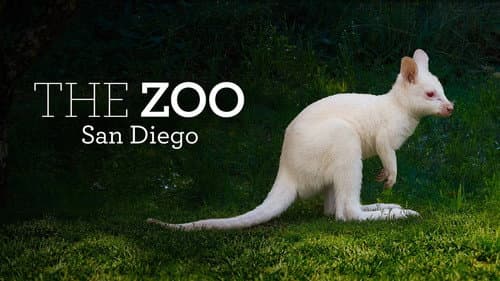 The Zoo: San Diego still