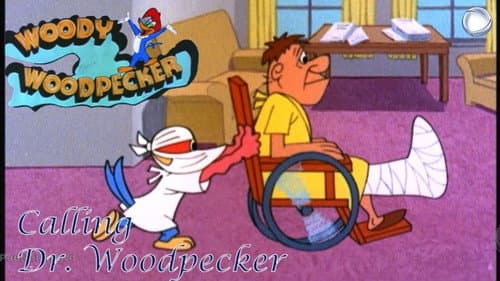 Calling Dr. Woodpecker still