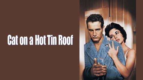 Cat on a Hot Tin Roof still