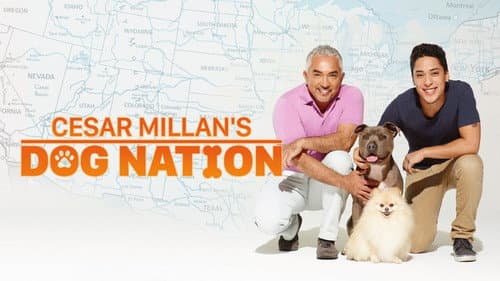 Cesar Millan's Dog Nation still