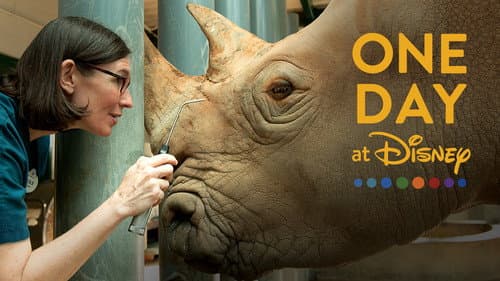 One Day at Disney still