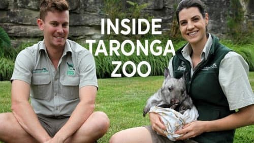 Inside Taronga Zoo still