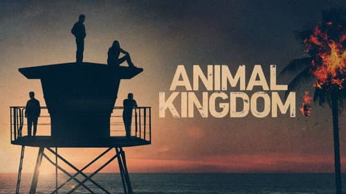 Animal Kingdom still