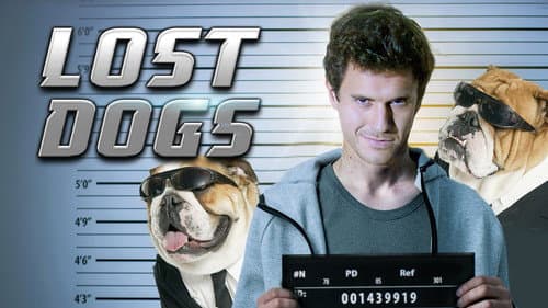 Lost Dogs still