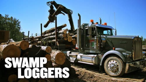 Swamp Loggers still