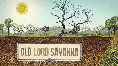 Old Lord Savanna still