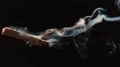 Inglourious Basterds still