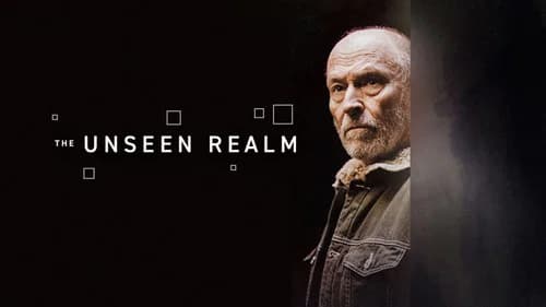 The Unseen Realm still