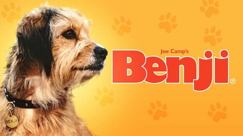 Benji still