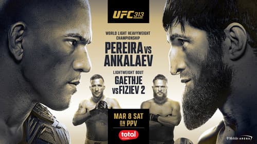 UFC 313: Pereira vs. Ankalaev still