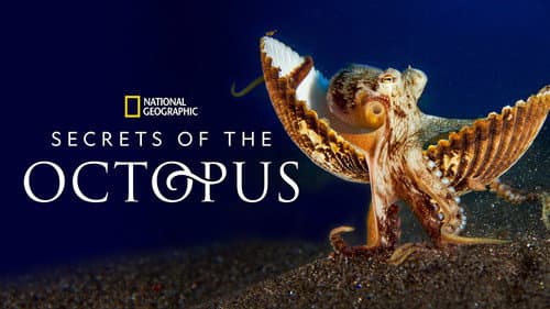 Secrets of the Octopus still