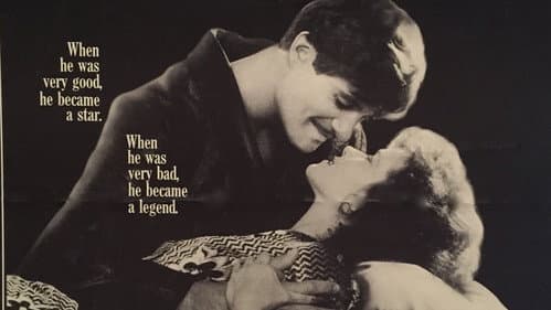 My Wicked, Wicked Ways: The Legend of Errol Flynn still