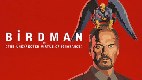 Birdman or (The Unexpected Virtue of Ignorance) still