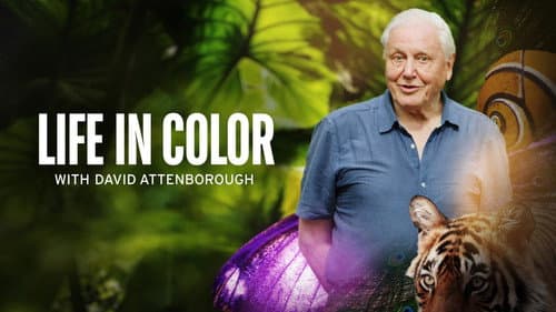 Attenborough's Life in Colour still