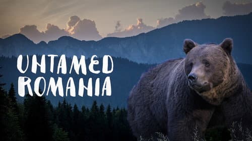 Untamed Romania still