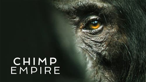 Chimp Empire still