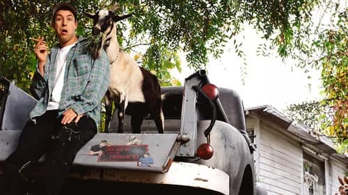 Adam Sandler: What the Hell Happened to Me? still