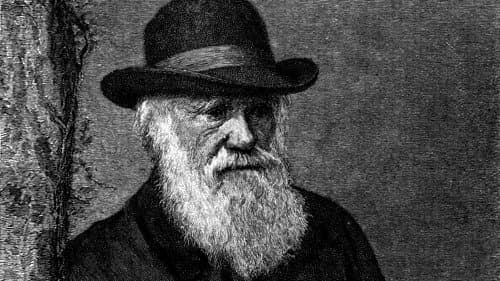 The Genius of Charles Darwin still