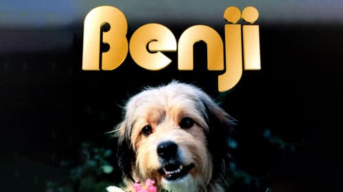 Benji still