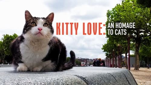 Kitty Love: An Homage to Cats still