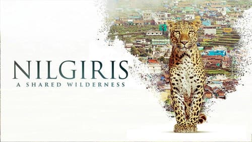Nilgiris - A Shared Wilderness still