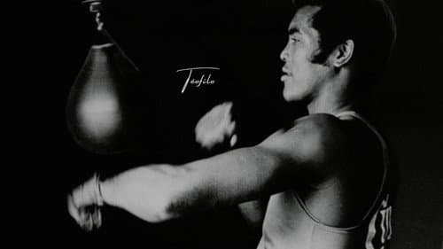 Teofilo: Boxing's Most Revolutionary Champion still