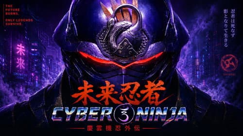 Cyber Ninja still