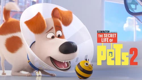 The Secret Life of Pets 2 still