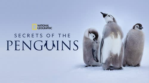 Secrets of the Penguins still