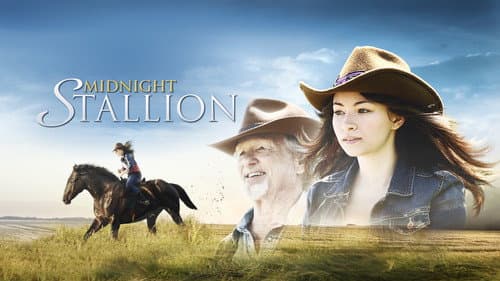 Midnight Stallion still