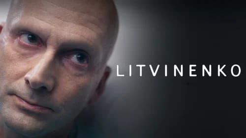 Litvinenko still