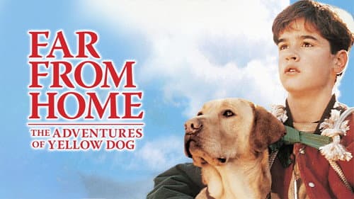 Far from Home: The Adventures of Yellow Dog still