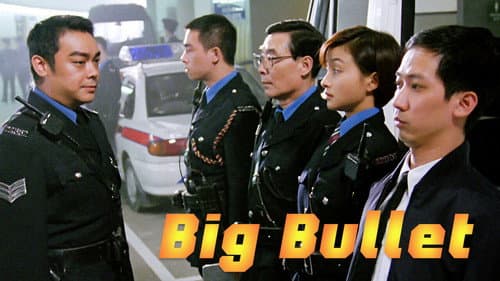 Big Bullet still