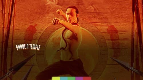 Shaolin Temple still