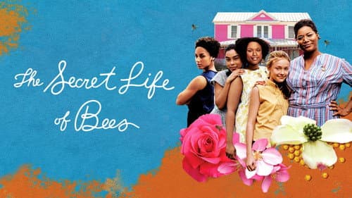 The Secret Life of Bees still