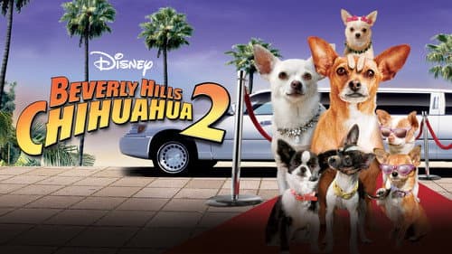 Beverly Hills Chihuahua 2 still