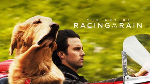 The Art of Racing in the Rain still