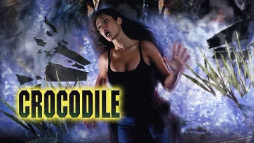 Crocodile still