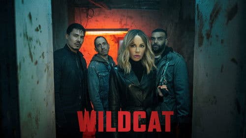 Wildcat still