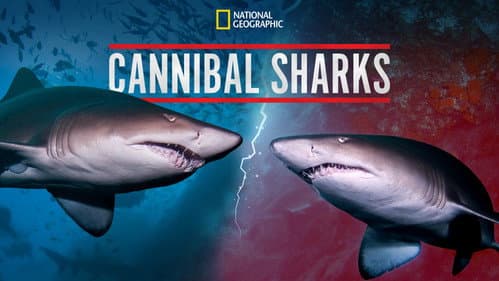 Cannibal Sharks still
