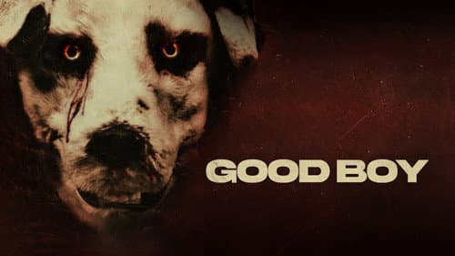 Good Boy still