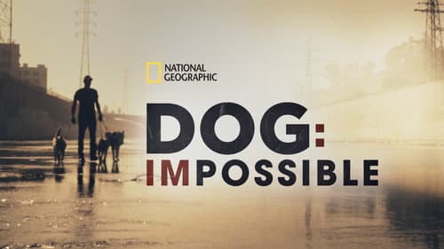 Dog: Impossible still