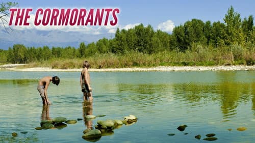 The Cormorants still