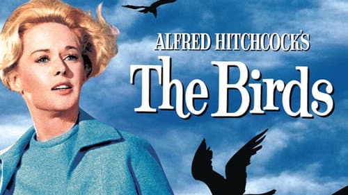 The Birds still