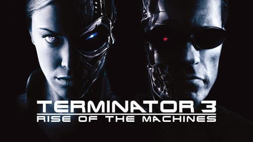 Terminator 3: Rise of the Machines still