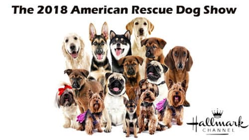 The 2018 American Rescue Dog Show still
