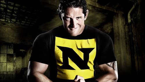 WWE Survivor Series 2010 still