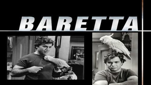 Baretta still
