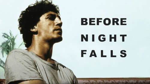 Before Night Falls still